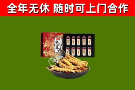 雅安回收冬虫夏草价格